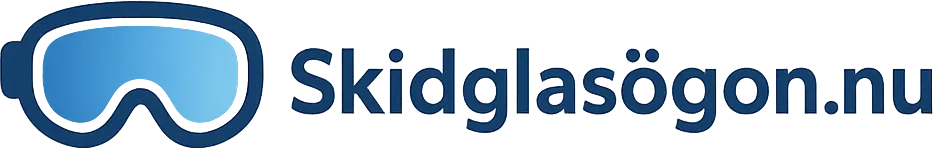 Skidglasögon